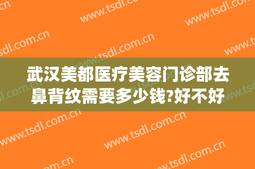 武汉美都医疗美容门诊部去鼻背纹需要多少钱?好不好?(医美去鱼尾纹多少钱)