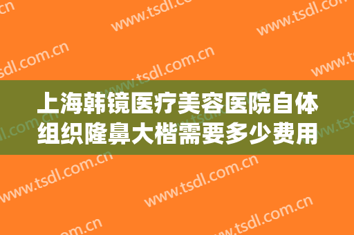 上海韩镜医疗美容医院自体组织隆鼻大楷需要多少费用?贵不贵?(上海韩式整容医院)