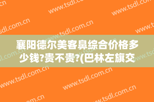襄阳德尔美客鼻综合价格多少钱?贵不贵?(巴林左旗交通局电话)