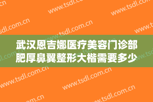 武汉恩吉娜医疗美容门诊部肥厚鼻翼整形大楷需要多少费用?靠谱吗?(恩喜整形医院资质)