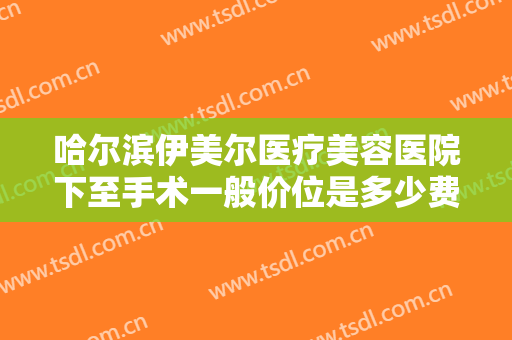 哈尔滨伊美尔医疗美容医院下至手术一般价位是多少费用?效果怎么样?