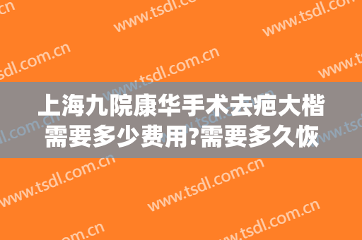 上海九院康华手术去疤大楷需要多少费用?需要多久恢复?(上海九院祛除疤痕得花多少钱)