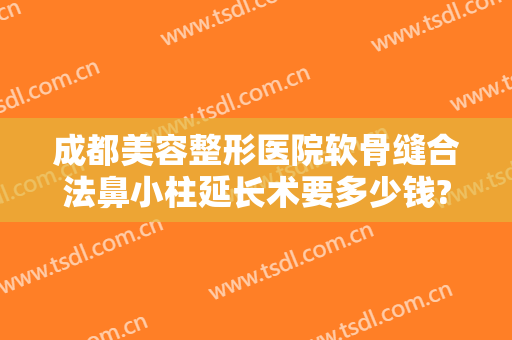 成都美容整形医院软骨缝合法鼻小柱延长术要多少钱?有哪些优势?