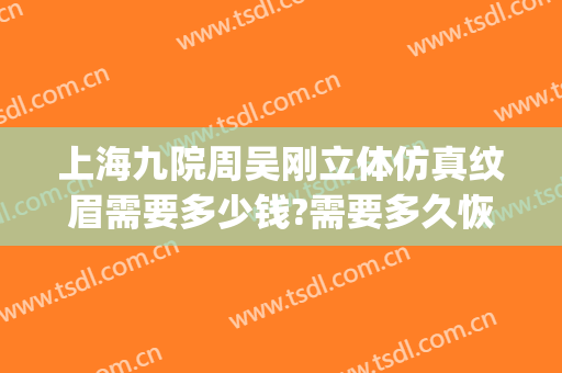 上海九院周吴刚立体仿真纹眉需要多少钱?需要多久恢复?(上海九院纹眉价格)