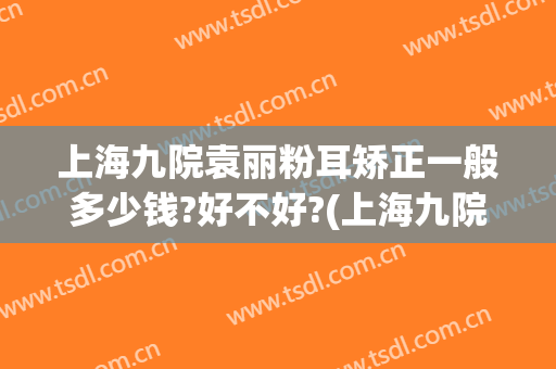 上海九院袁丽粉耳矫正一般多少钱?好不好?(上海九院耳朵整形医生)