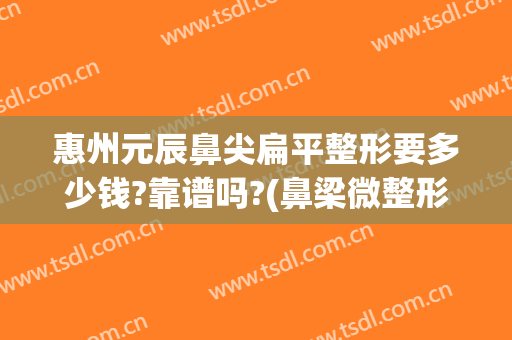 惠州元辰鼻尖扁平整形要多少钱?靠谱吗?(鼻梁微整形大概多少钱)