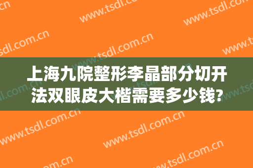 上海九院整形李晶部分切开法双眼皮大楷需要多少钱?可靠吗?(上海九院李华双眼皮做的怎么样)