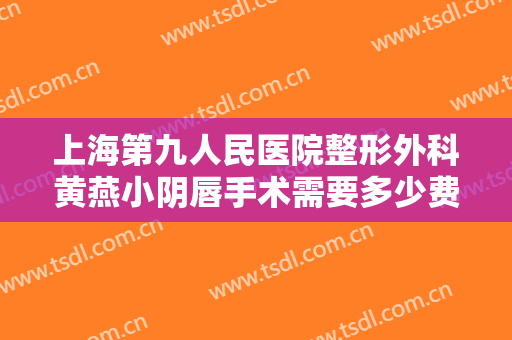 上海第九人民医院整形外科黄燕小阴唇手术需要多少费用?需要多久恢复?