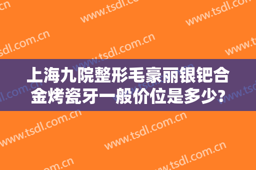 上海九院整形毛豪丽银钯合金烤瓷牙一般价位是多少?怎么样?