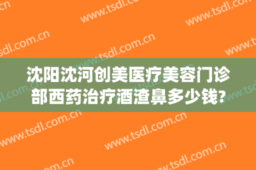 沈阳沈河创美医疗美容门诊部西药治疗酒渣鼻多少钱?贵不贵?(辽宁沈阳哪个医院治疗酒糟鼻好)