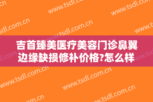 吉首臻美医疗美容门诊鼻翼边缘缺损修补价格?怎么样?