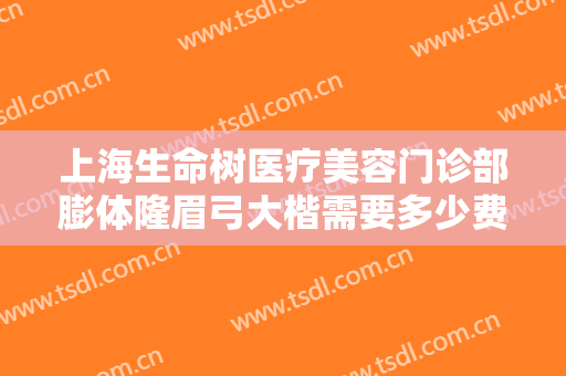 上海生命树医疗美容门诊部膨体隆眉弓大楷需要多少费用?效果怎么样?