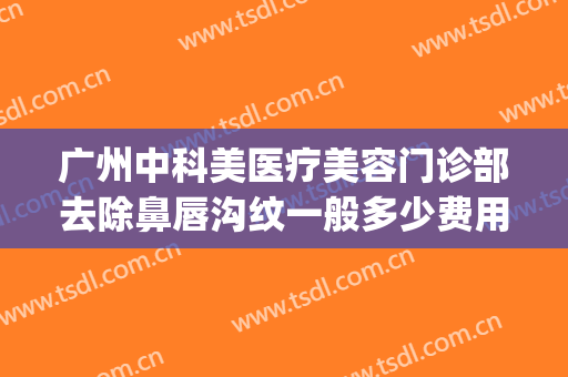 广州中科美医疗美容门诊部去除鼻唇沟纹一般多少费用?贵不贵?(广州中科美医疗美容正规吗)