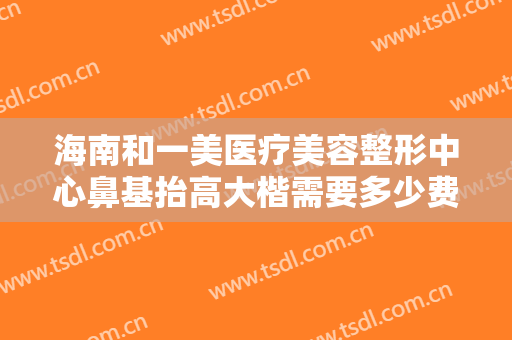 海南和一美医疗美容整形中心鼻基抬高大楷需要多少费用?可靠吗?