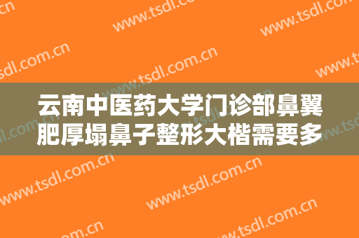云南中医药大学门诊部鼻翼肥厚塌鼻子整形大楷需要多少费用?效果怎么样?