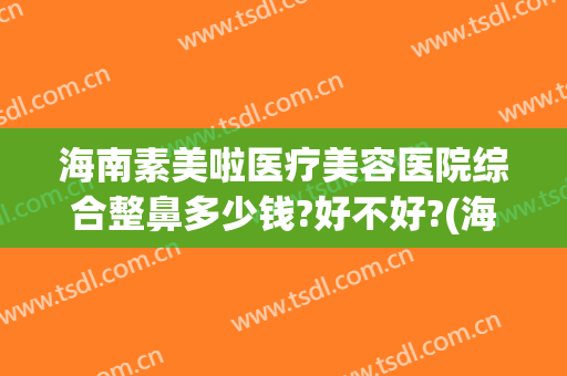 海南素美啦医疗美容医院综合整鼻多少钱?好不好?(海南医美整形招聘)