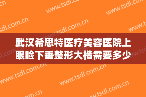 武汉希思特医疗美容医院上眼睑下垂整形大楷需要多少费用?贵不贵?(武汉希斯特整形医院)