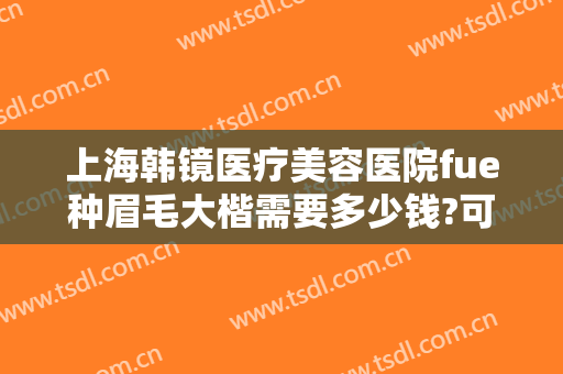 上海韩镜医疗美容医院fue种眉毛大楷需要多少钱?可靠吗?