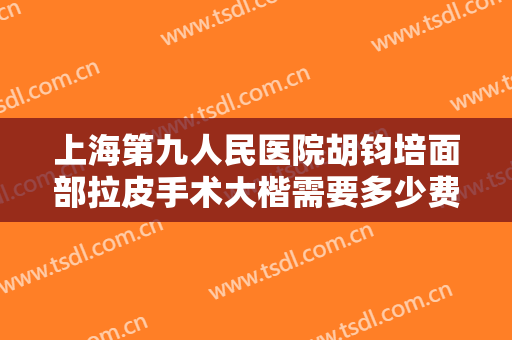 上海第九人民医院胡钧培面部拉皮手术大楷需要多少费用?好不好?