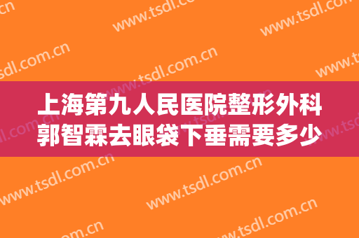 上海第九人民医院整形外科郭智霖去眼袋下垂需要多少钱?贵不贵?(上海第九人民医院 眼袋手术 费用)