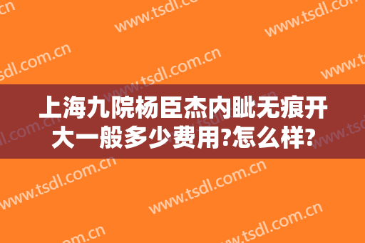 上海九院杨臣杰内眦无痕开大一般多少费用?怎么样?