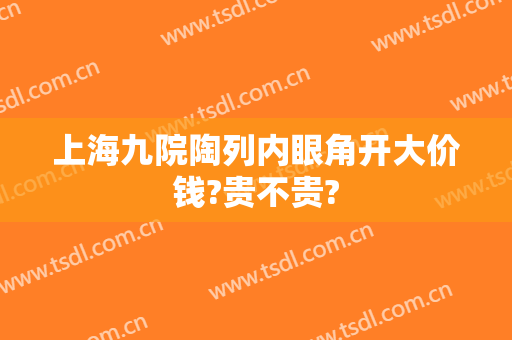 上海九院陶列内眼角开大价钱?贵不贵?