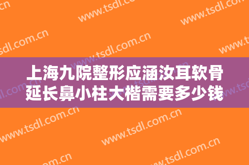 上海九院整形应涵汝耳软骨延长鼻小柱大楷需要多少钱?贵不贵?