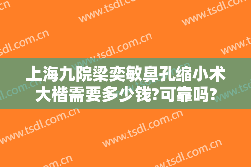 上海九院梁奕敏鼻孔缩小术大楷需要多少钱?可靠吗?