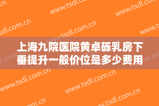上海九院医院黄卓砾乳房下垂提升一般价位是多少费用?靠谱吗?