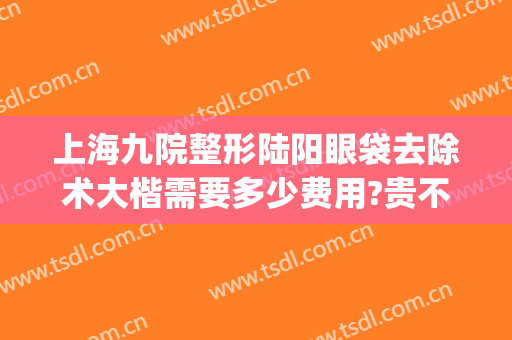 上海九院整形陆阳眼袋去除术大楷需要多少费用?贵不贵?(上海9院去眼袋多少钱)
