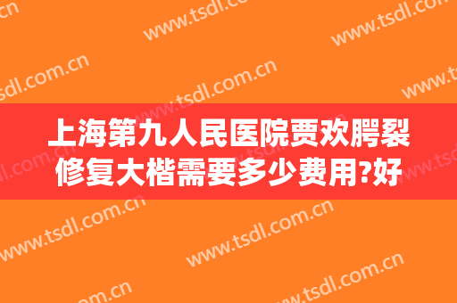 上海第九人民医院贾欢腭裂修复大楷需要多少费用?好不好?(上海九院唇腭裂费用)
