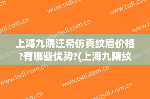 上海九院汪希仿真纹眉价格?有哪些优势?(上海九院纹眉怎么样)