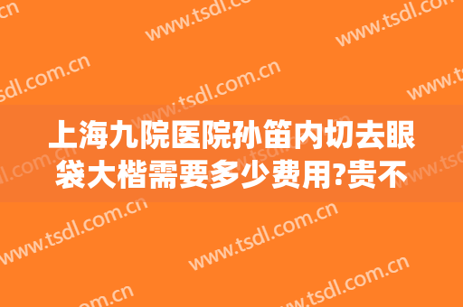 上海九院医院孙笛内切去眼袋大楷需要多少费用?贵不贵?(上海九院外切眼袋多少钱)