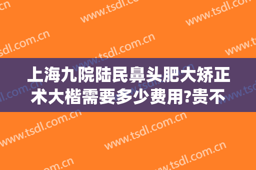 上海九院陆民鼻头肥大矫正术大楷需要多少费用?贵不贵?(上海九院缩小鼻翼多少钱)