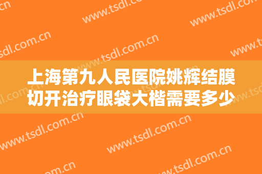 上海第九人民医院姚辉结膜切开治疗眼袋大楷需要多少费用?贵不贵?