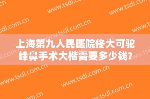 上海第九人民医院佟大可驼峰鼻手术大楷需要多少钱?效果怎么样?