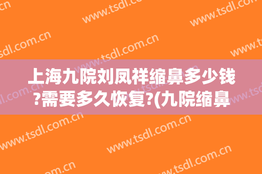 上海九院刘凤祥缩鼻多少钱?需要多久恢复?(九院缩鼻翼价格)