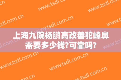 上海九院杨鹏高改善驼峰鼻需要多少钱?可靠吗?