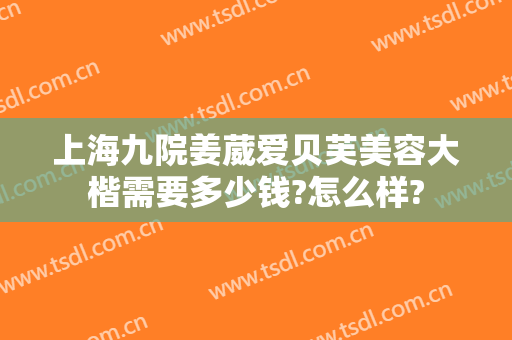上海九院姜葳爱贝芙美容大楷需要多少钱?怎么样?
