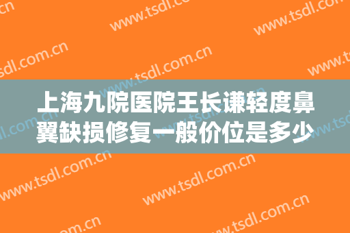 上海九院医院王长谦轻度鼻翼缺损修复一般价位是多少费用?贵不贵?(上海九院哪个医生修复鼻子好)