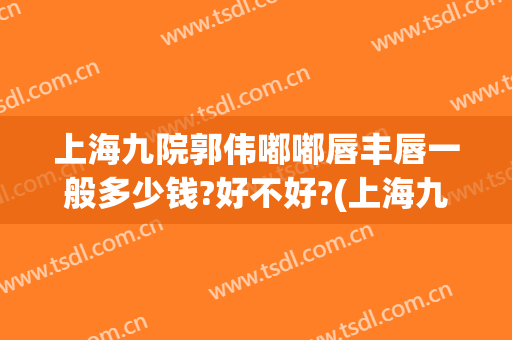 上海九院郭伟嘟嘟唇丰唇一般多少钱?好不好?(上海九院做嘴唇多少钱)