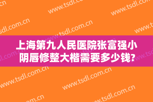 上海第九人民医院张富强小阴唇修整大楷需要多少钱?贵不贵?
