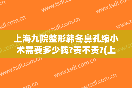 上海九院整形韩冬鼻孔缩小术需要多少钱?贵不贵?(上海九院鼻子整形需要多少钱)