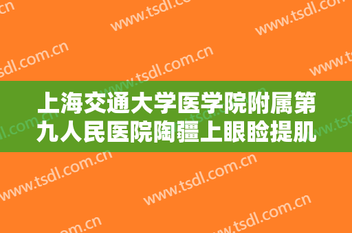 上海交通大学医学院附属第九人民医院陶疆上眼睑提肌矫正一般价位是多少?效果怎么样?