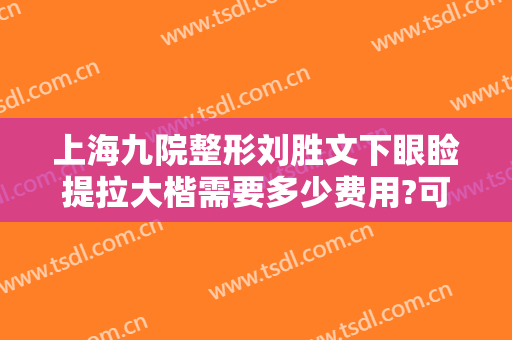 上海九院整形刘胜文下眼睑提拉大楷需要多少费用?可靠吗?