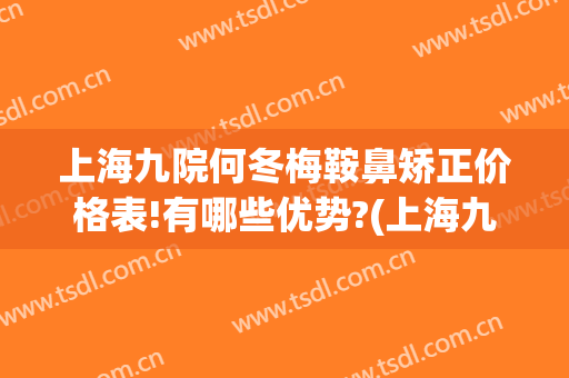 上海九院何冬梅鞍鼻矫正价格表!有哪些优势?(上海九院歪鼻矫正价格)
