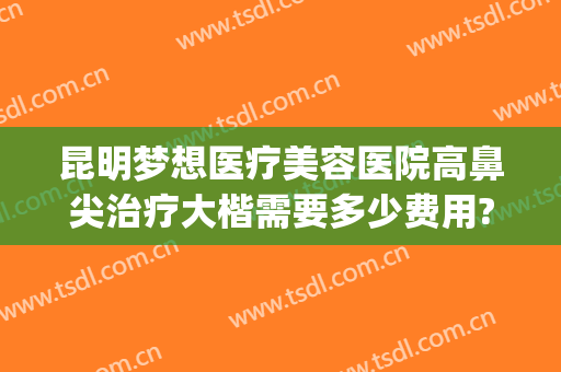 昆明梦想医疗美容医院高鼻尖治疗大楷需要多少费用?好不好?(昆明梦想整形美容医院好不好)