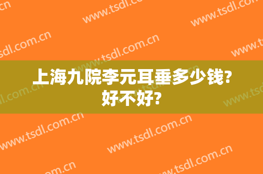 上海九院李元耳垂多少钱?好不好?