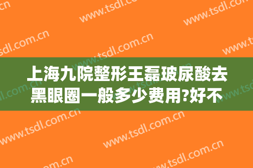 上海九院整形王磊玻尿酸去黑眼圈一般多少费用?好不好?(上海九院打玻尿酸多少钱)
