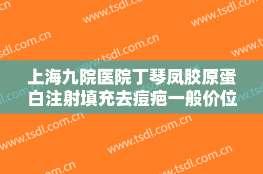上海九院医院丁琴凤胶原蛋白注射填充去痘疤一般价位是多少钱?效果怎么样?